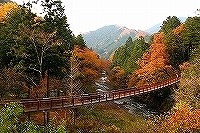 s-1.ishi_au