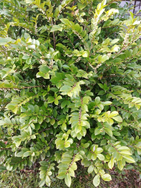 IMG01003改