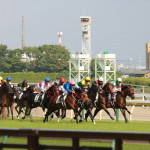 9/26(月)　秋競馬の季節がやってきました！