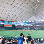 11/29(火)　2022年の想い出の１つ