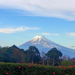 12/26(月)今日から君も富士山だ！