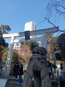 乃木神社2