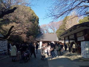 乃木神社正面4