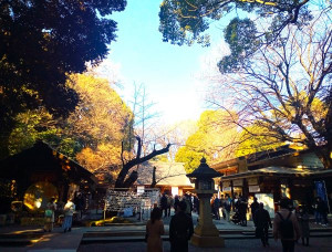乃木神社全体9