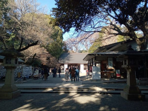 乃木神社正面3