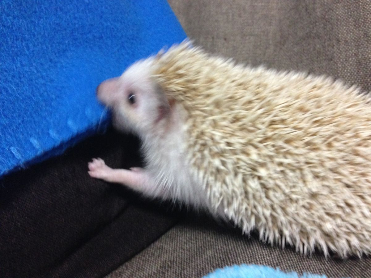 Snapshot5