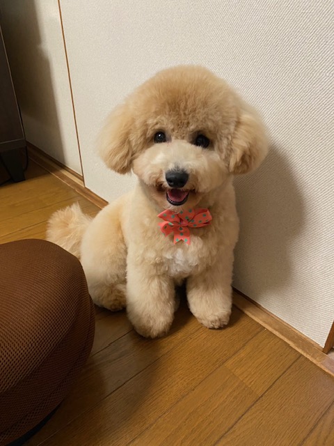 image0