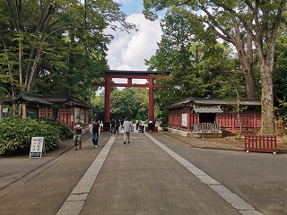 IMG_20230917_135419