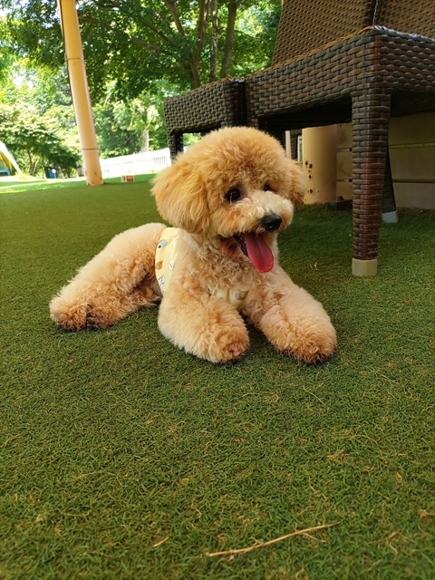image0