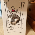 1/30（火）商品デザインの重要性