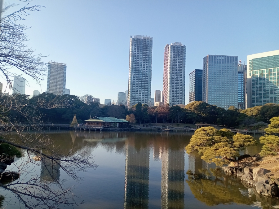 浜離宮007
