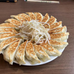 2/27(火)餃子を食べに行くなら浜松VS宇都宮、それとも宮崎？