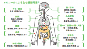 お酒影響