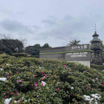 2/7（水）都会の公園で一休み　北の丸公園