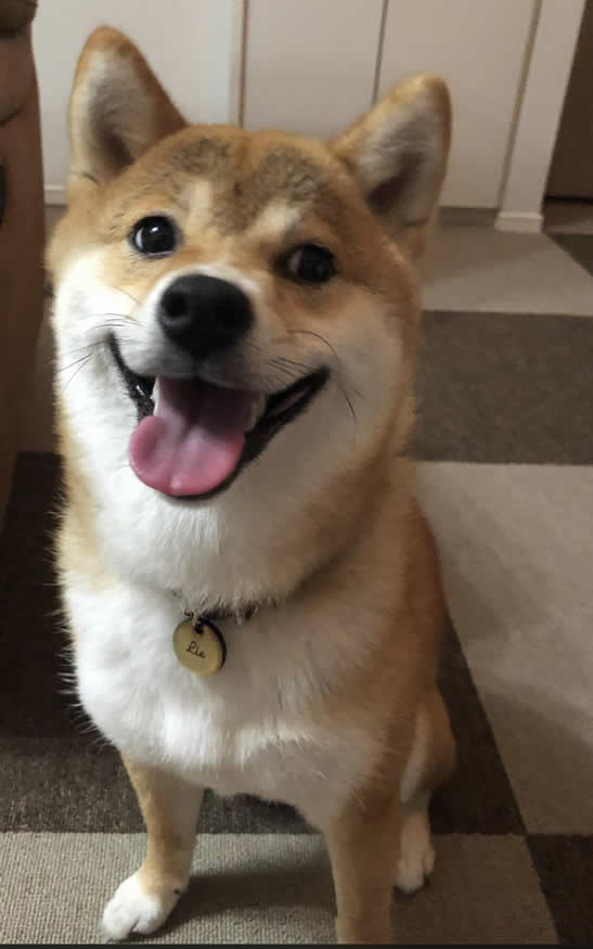 cosmo