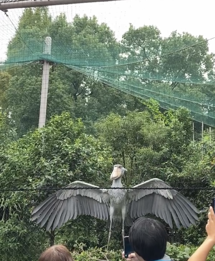 動物園②