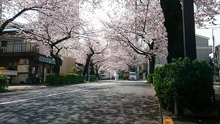 DSC_2729-1024x576