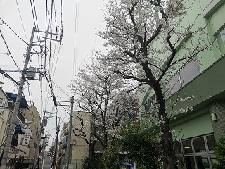 IMG_20240403_085709