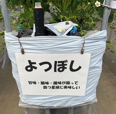 240418ブログ用写真5