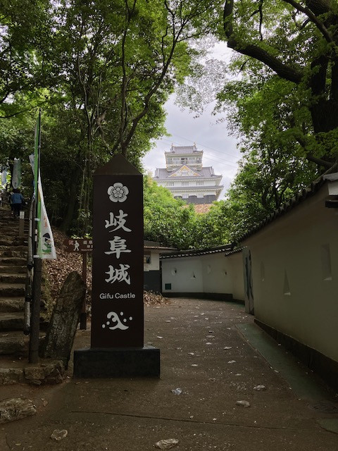 image8