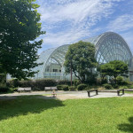 8/6（火）プールのある公園に行ってきました！都立東綾瀬公園