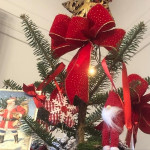 12/10（火）世界のクリスマスを見てみよう！