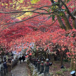 12/28(土)2024年スマホの画像で1年を振り返ろうの巻