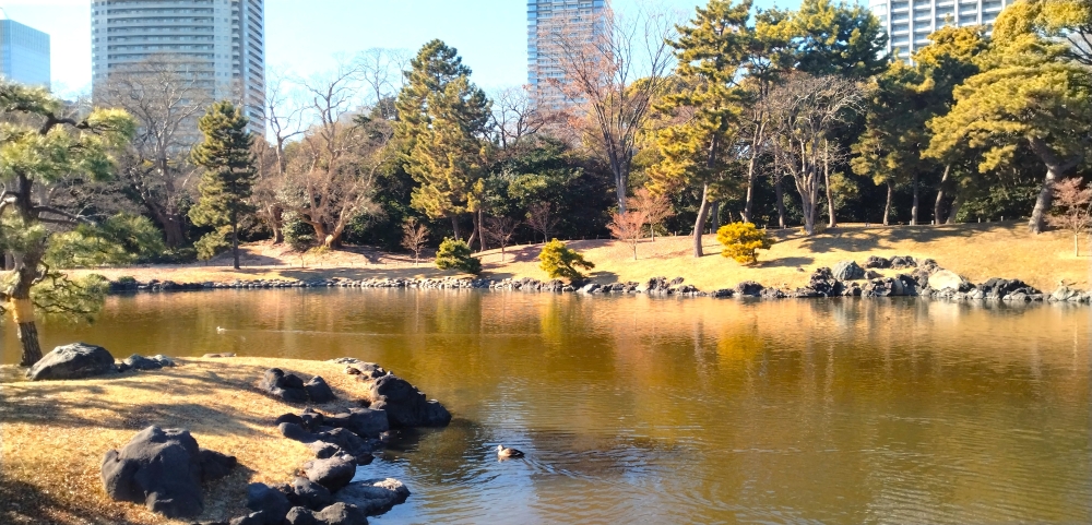 浜離宮03