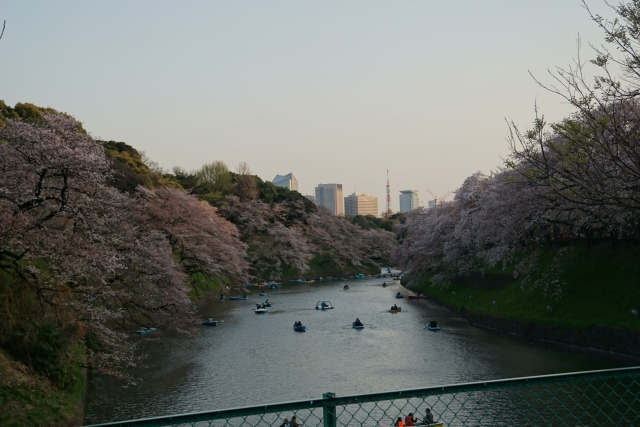 ブログ③