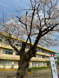 外の看板と桜