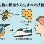 5/28（水）AI(人工知能)とは何か？〜人間の脳を模倣する計算モデル〜
