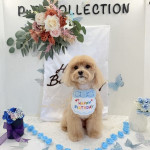 6/4（水）祝！誕生日！