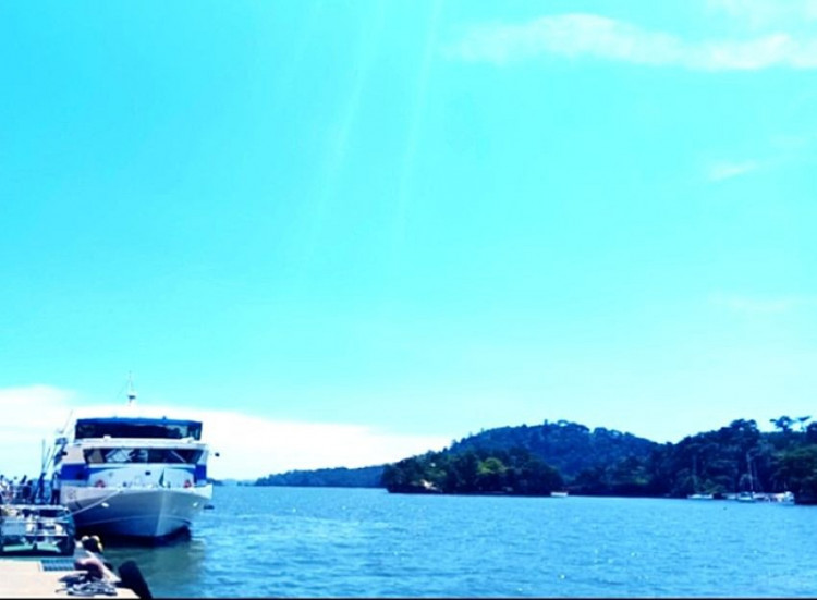 松島001