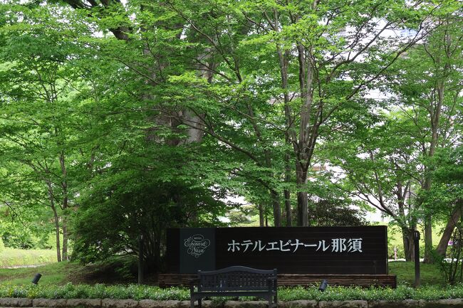 入口