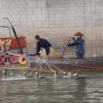 11/17（月）長良川の鵜飼を見に行ってきました！