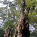 12/16（火）熱海に行ってきた