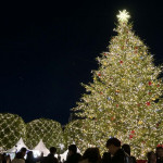 12/10（水）少し早いクリスマスイルミネーション2025