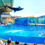 12/12（金）新江ノ島水族館と江の島散歩