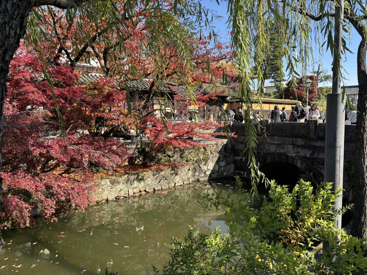 b6fe4b78-bf6e-4281-973d-92f791917e22