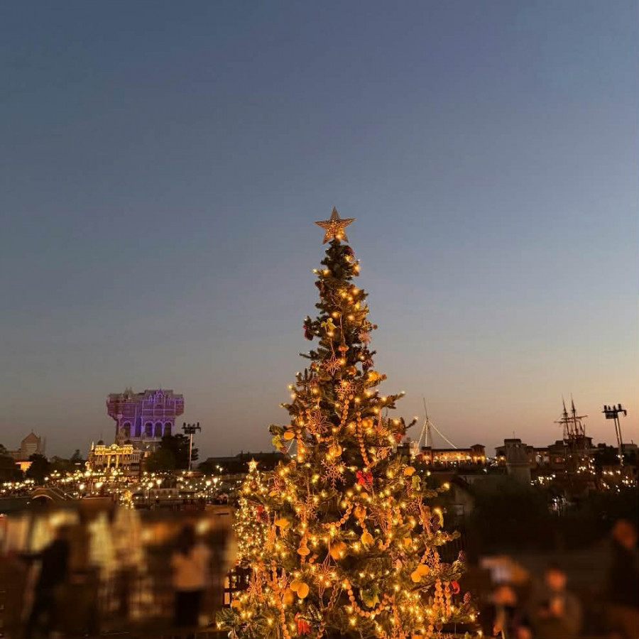 クリスマスツリー②