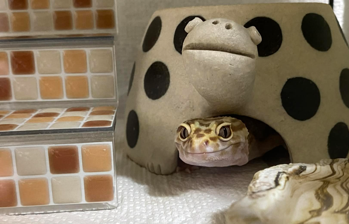 スクリーンショット 2026-02-16 180622