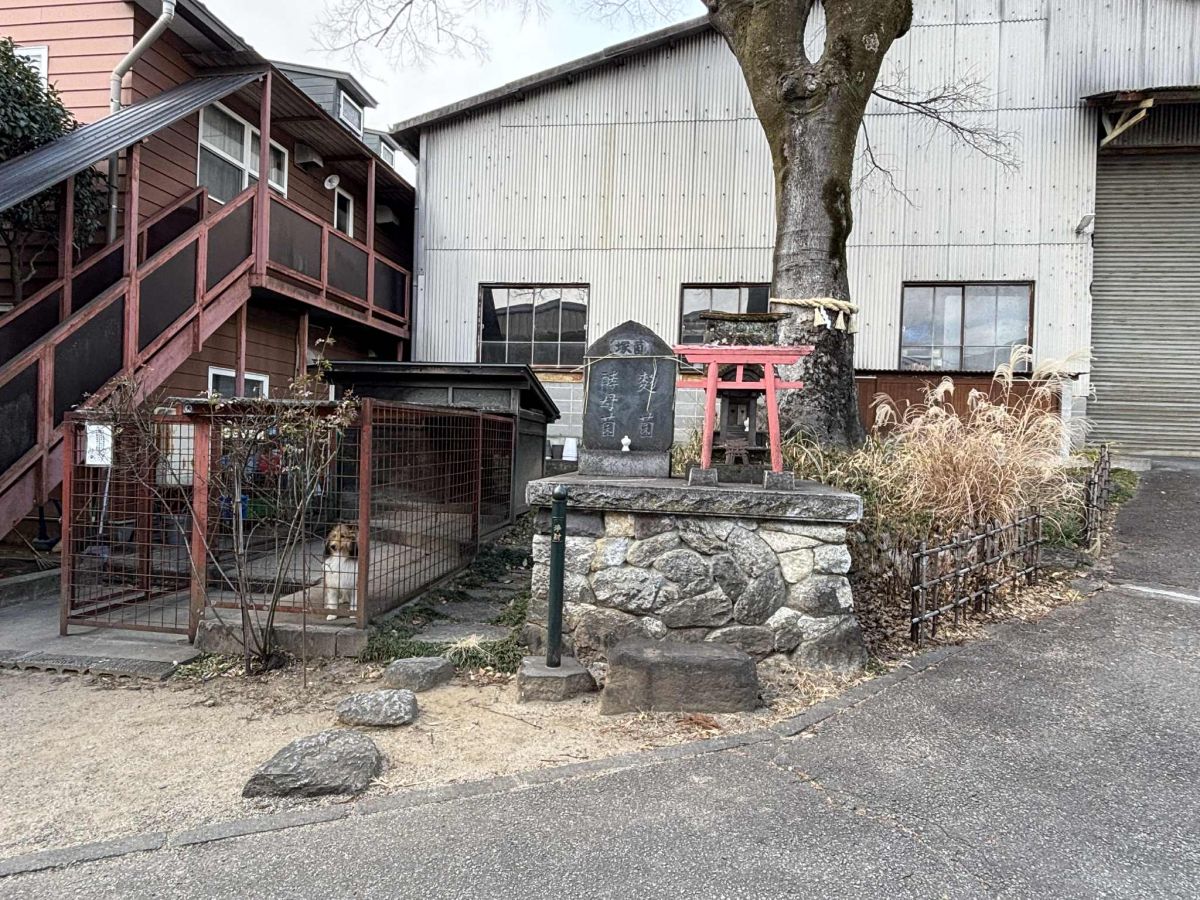 793fae8b-31fc-4c9c-959f-8281d2c79ab0