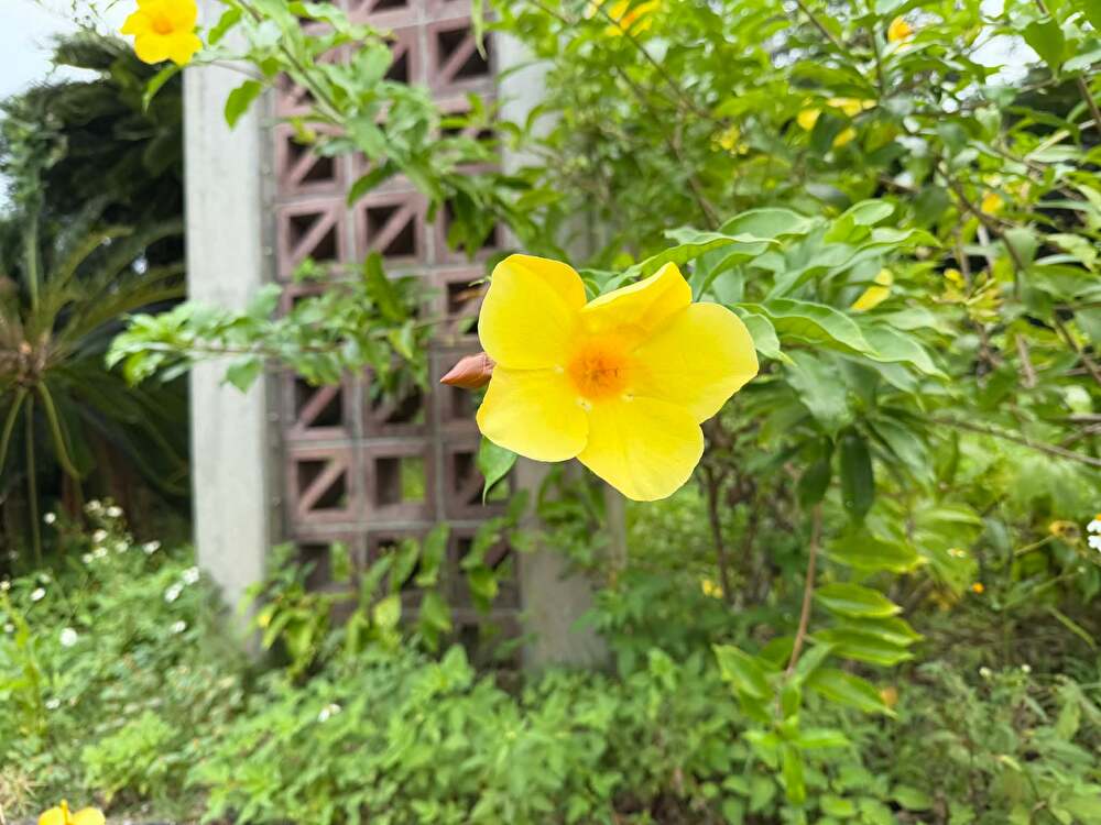 f8FIs1fP1274xuK1770717305