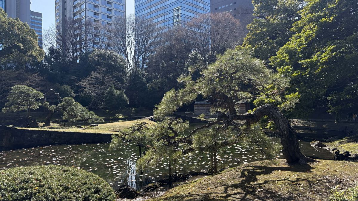 2cc176e3-d0bb-41e3-9e80-af8b2bcaa243