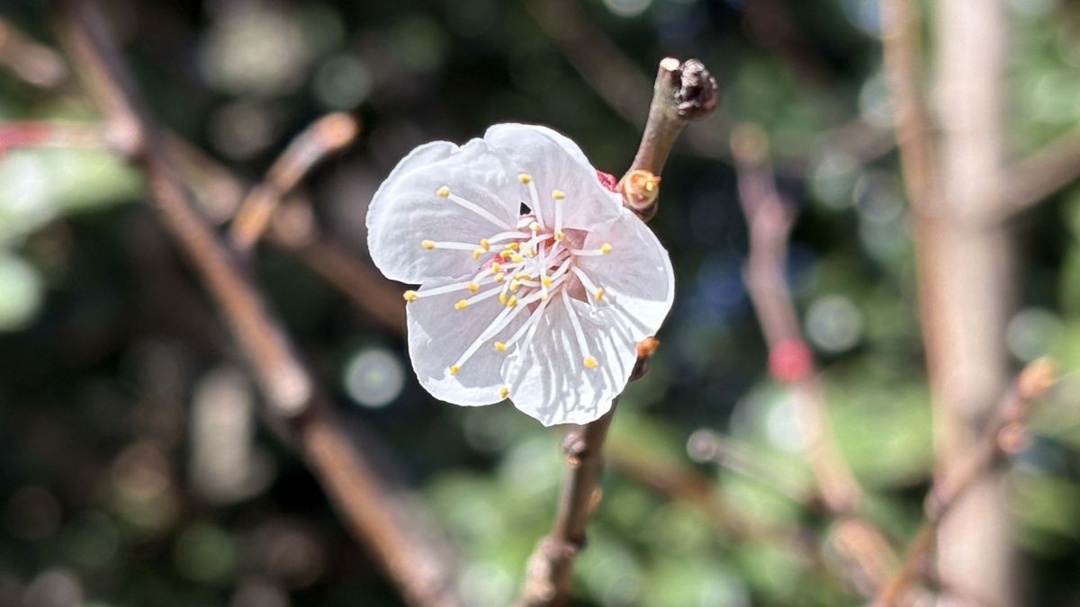 2f62b24e-b9dc-4e44-80d0-76799ba442f6