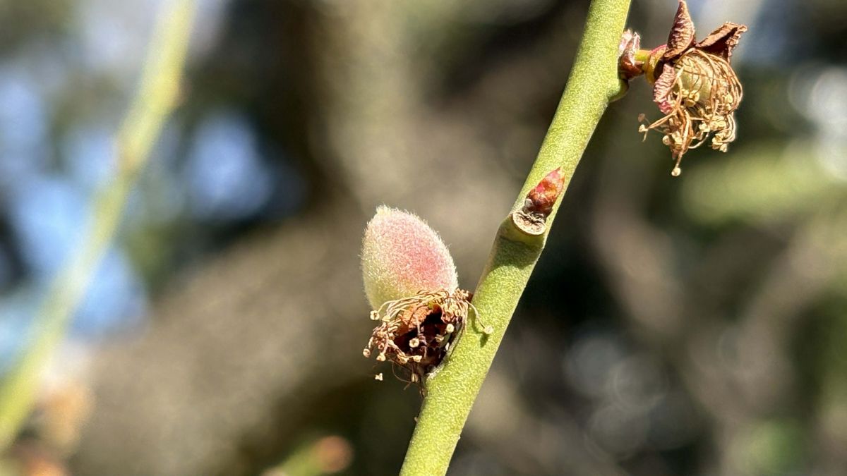 59463a35-fbf6-476e-a9a9-9e5b6951cfc6