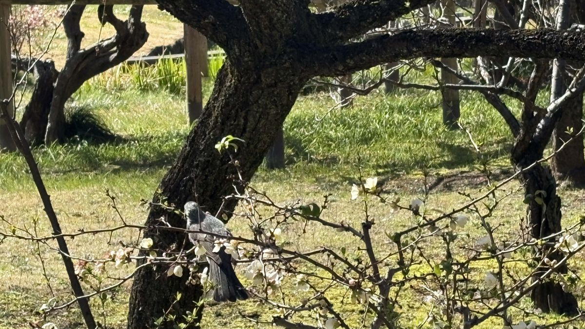 6b1f150c-9f84-46b2-9f6f-c720814443c9