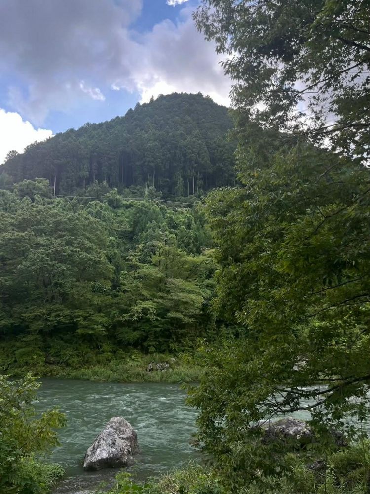 dd8588fa-93c4-4bd6-a3f1-964ac03ef3c8