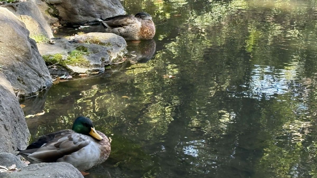 fa616011-9640-4e92-85fd-47a7bd90459b