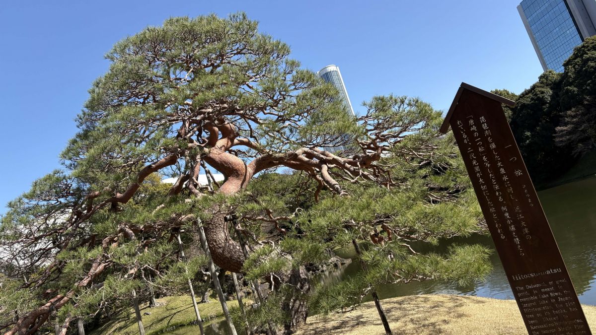 fa9d5660-dd64-4381-9a41-07190cad5ccf